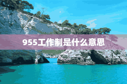 955工作制是什么意思